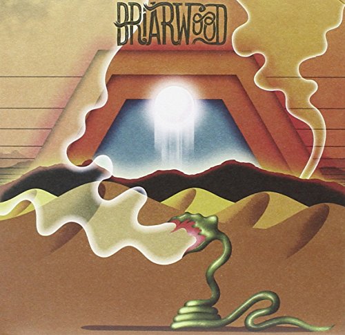 Briarwood album cover: abstract landscape with a snake and glowing light.