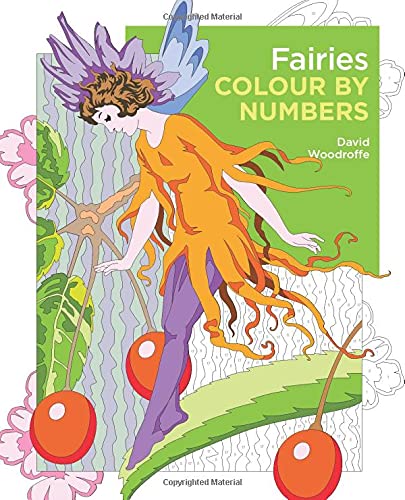 Colour by numbers book cover featuring a fairy amongst foliage.