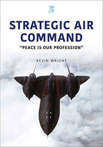 Book cover featuring a black SR-71 spy plane against a cloudy sky.
