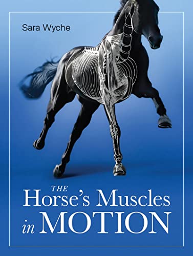 Book cover showing a black horse with a white anatomical muscle overlay on blue.