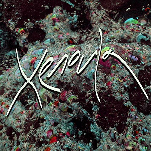 White handwritten text Xenoula over a textured background of dark rocks and iridescent bubbles.