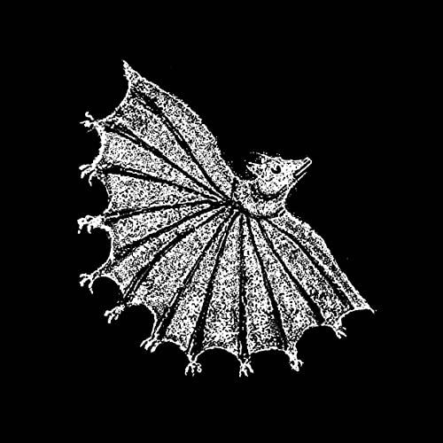 Black and white illustration of a bat with spread wings.