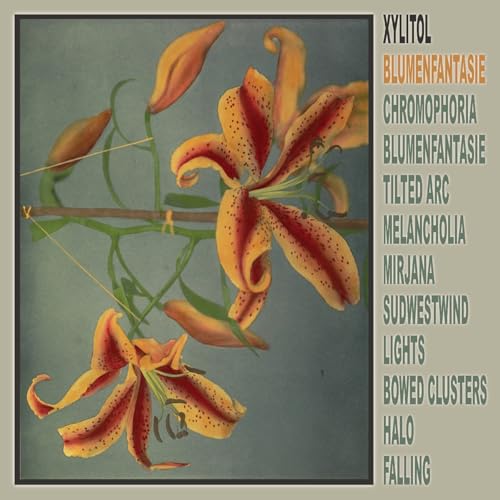Vinyl record cover with orange lilies and tracklist text.