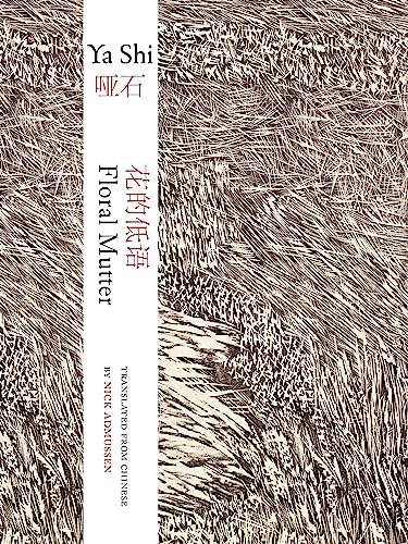 Book cover with abstract, textured design and Chinese/English text.