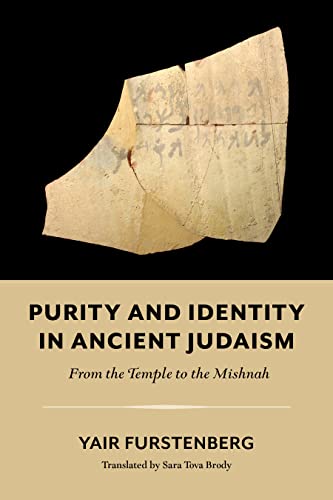Book cover with fragment of ancient text and title "Purity and Identity.