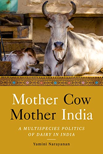 Book cover featuring a light-colored cow and calf resting outdoors.
