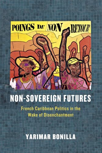 Book cover with illustrated figures raising fists, titled “Non-Sovereign Futures.”