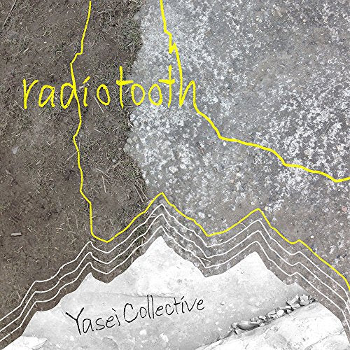 Yasei Collective - Radiotooth [CD]