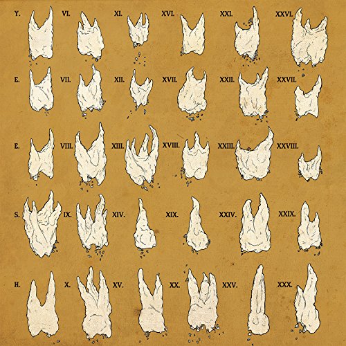 The image depicts a vinyl record sleeve for "Yeesh - Confirmation Bias" featuring a grid of 30 abstract, off-white illustrations resembling rabbit heads or flames, labeled with Roman numerals and letters on a brown background. For accessibility purposes, a suitable alt text could be: "Brown vinyl record sleeve with 30 abstract, off-white illustrations."
