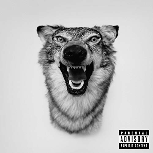 Black and white portrait of a wolf snarling with its mouth open.