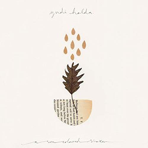 "Album cover with brown leaf and raindrops on a beige background."