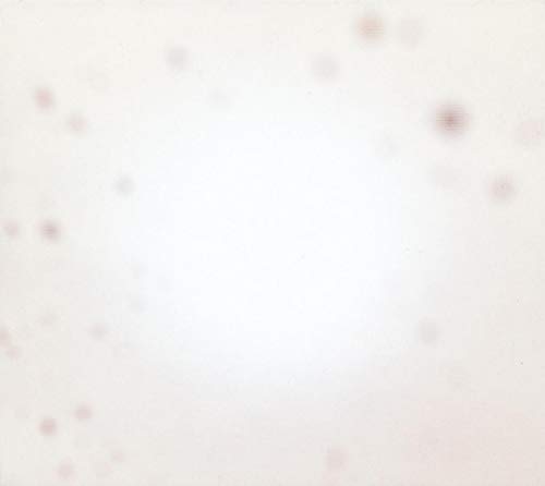 Pale, textured album cover with scattered, indistinct reddish-brown spots.