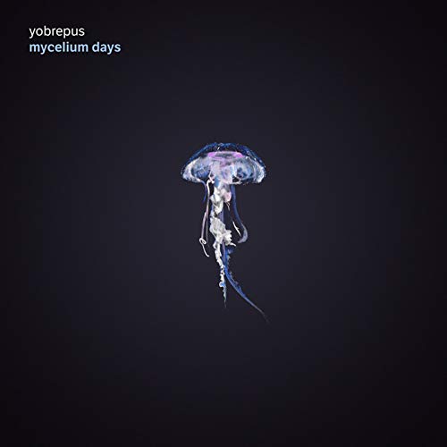Dark album cover featuring a translucent, colorful jellyfish illustration.