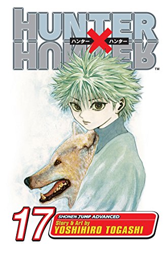 Killua Zoldyck from Hunter x Hunter holding a wolf on volume 17 cover art.