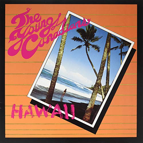 Vinyl album cover with a tilted photo of a beach, palm trees, and ocean.