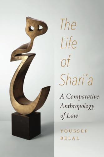Book cover featuring abstract golden Arabic calligraphy and title text.
