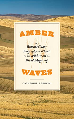 Book cover for “Amber Waves,” a biography of wheat, with wheat stalks.