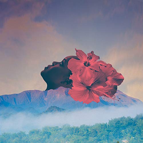 Album cover featuring a woman’s profile merging with flowers and landscape.