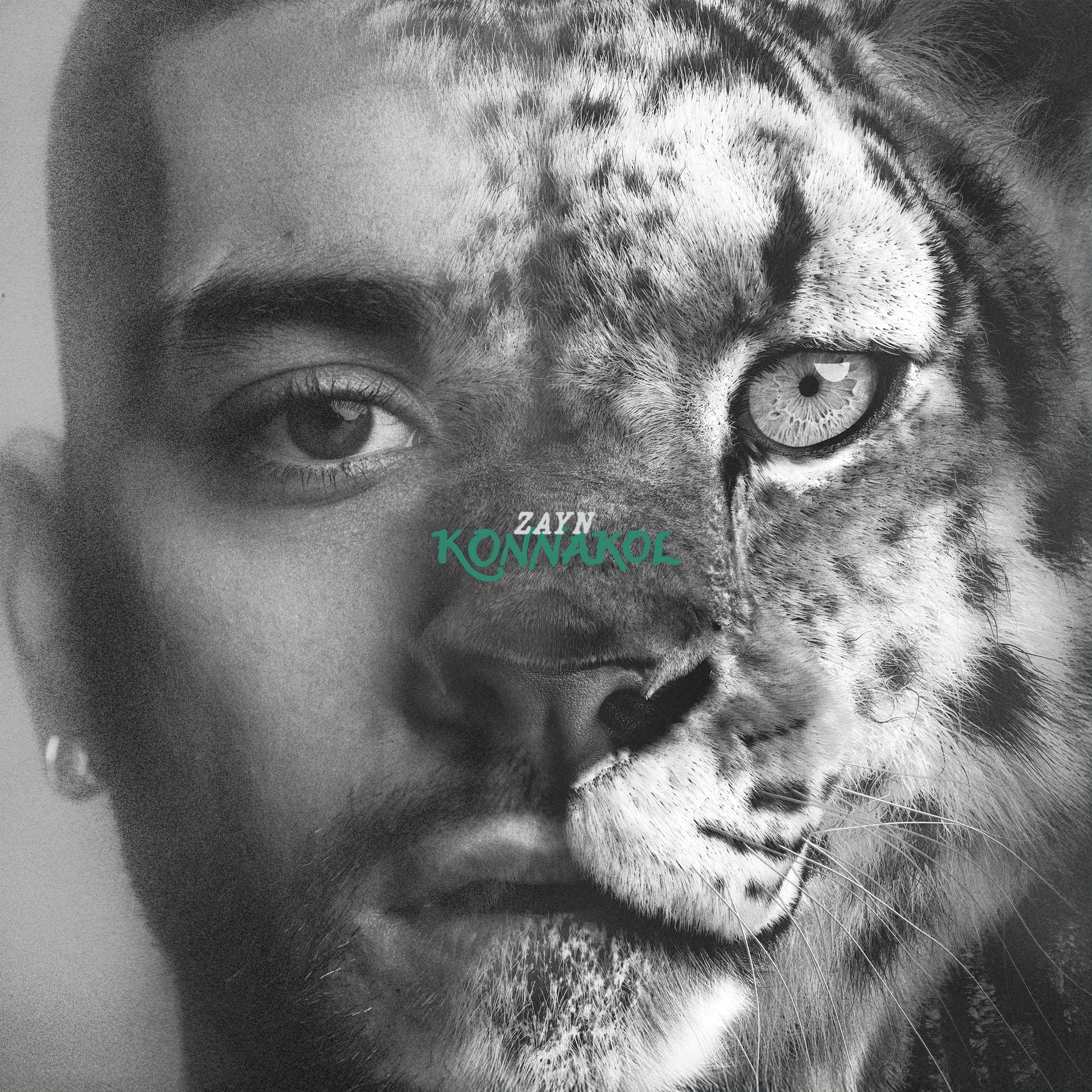 Black and white portrait blending a man’s face with a tiger’s features.