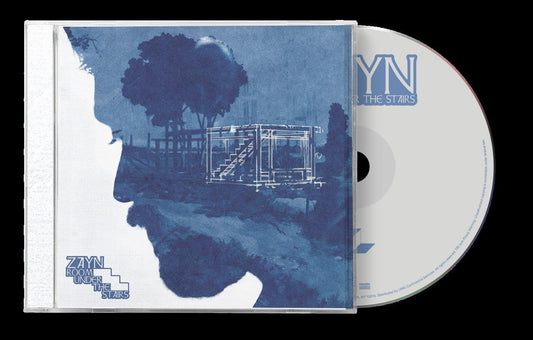 ZAYN album cover, “Room Under the Stairs,” featuring a blurred face and stairs.