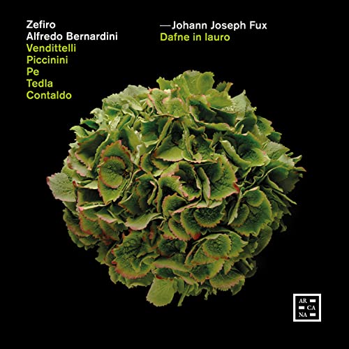 CD cover for "Dafne in Lauro" featuring a dense, green laurel wreath.