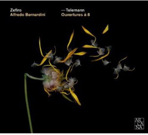 CD cover: dark background with a dandelion seed head and floating seeds.