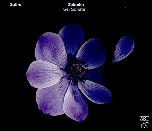CD cover featuring a close-up of a purple anemone flower.