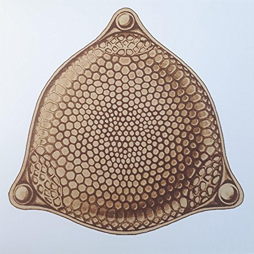 Vinyl record cover with a detailed, geometric, brown honeycomb pattern.