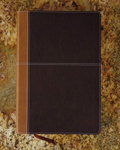 Tan and burgundy leathersoft Bible, closed, with red ribbon marker.