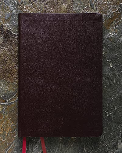 Burgundy bonded leather Bible, closed, with red ribbon page markers.