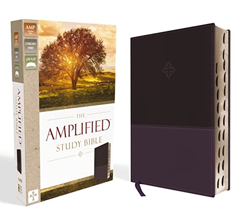 Purple leathersoft Bible with gold-edged pages and illustrated box.