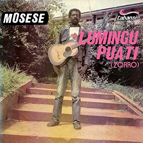 "Man holding guitar stands on concrete steps, surrounded by foliage, on a vinyl album cover."