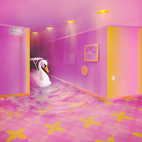 Pink hallway with a swan in shallow, patterned water.