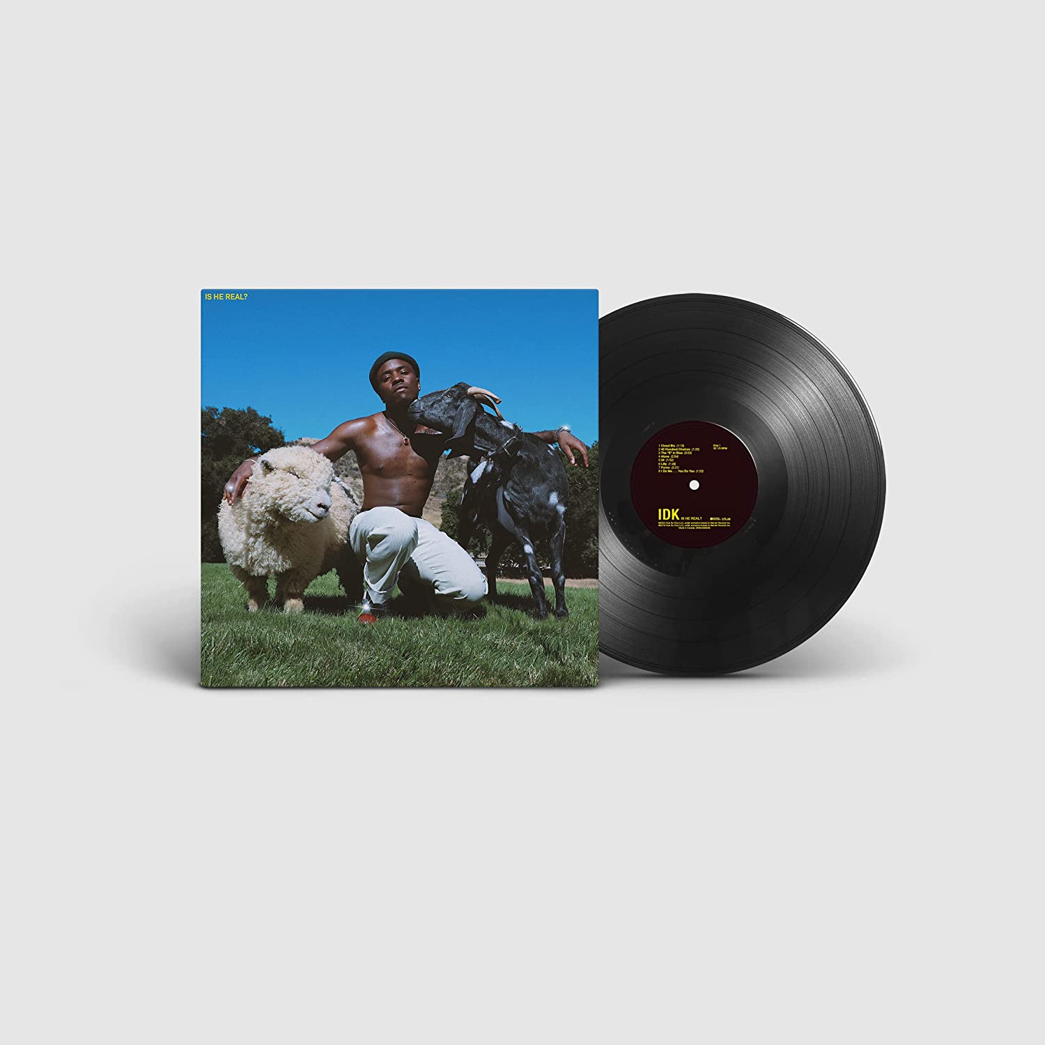 "Vinyl record and album cover with a man and sheep artwork."