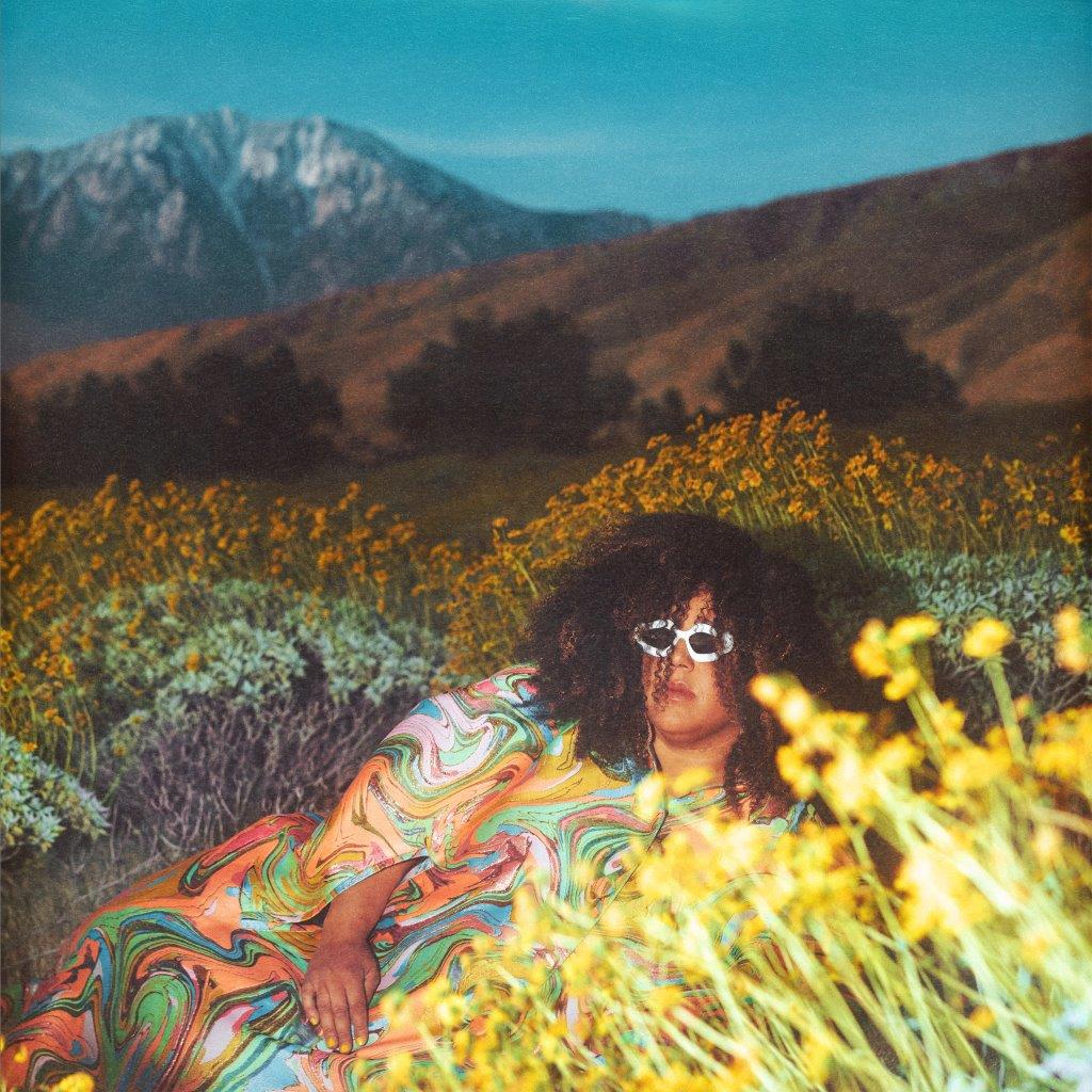 Brittany Howard - What Now [CD]