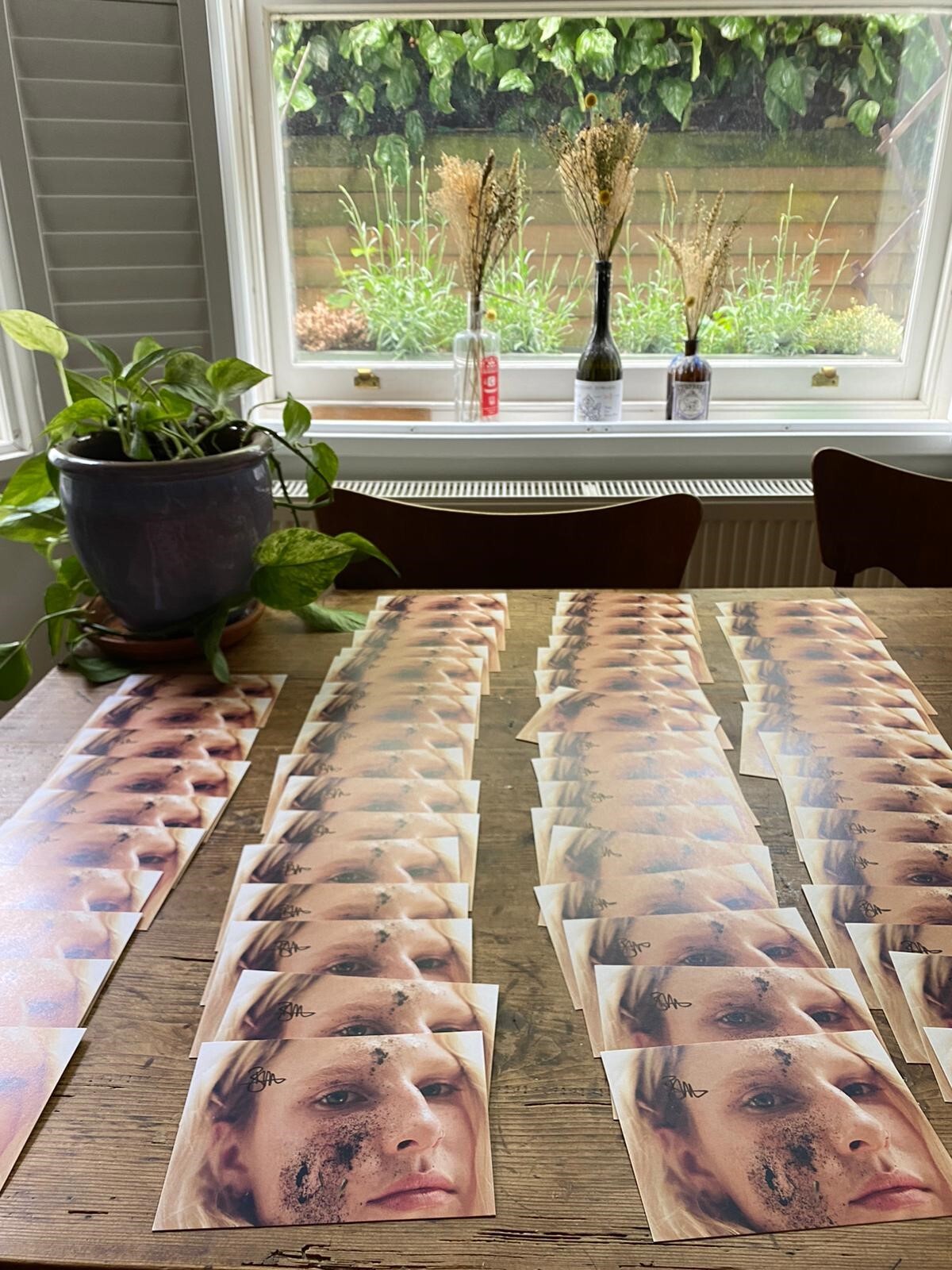 Billie Marten - Flora Fauna [CD]