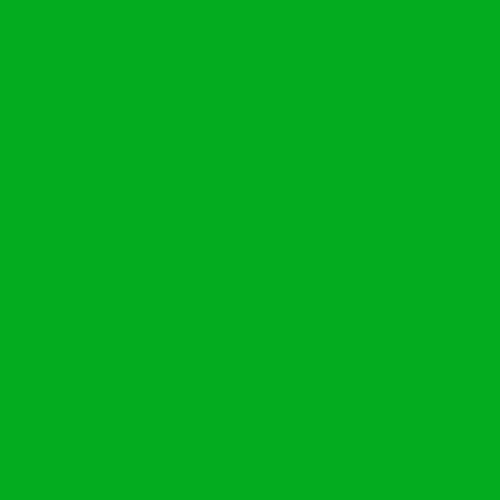 The image depicts a solid green vinyl record. Alt text: Green vinyl record.
