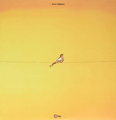 Various - Aaron Lightman [VINYL]