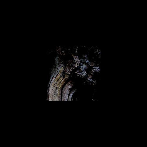 Brunnen - The Garden Of Perpetual Dreams [VINYL]