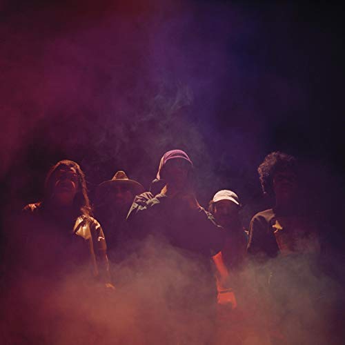 The Lasso - 2121 (Prince Purple Vinyl) [VINYL]