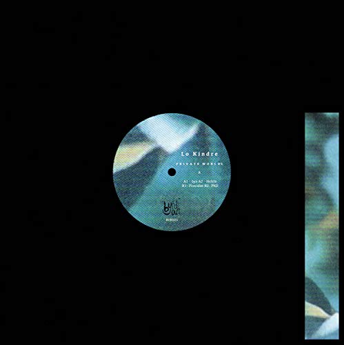 Various - PRIVATE WORLDS [VINYL]