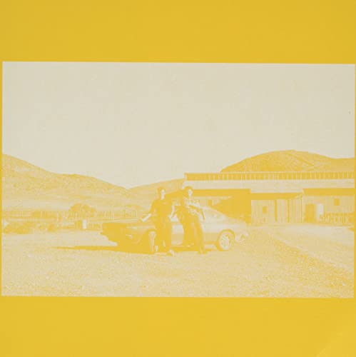 The Frenzied Bricks - The Frenzied Bricks [VINYL]
