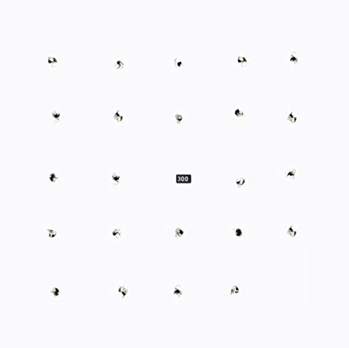 A white square with small black and white images and a centered "300" label.