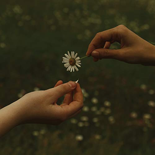 Goldmund - The Time It Takes [VINYL]