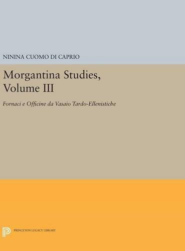 Morgantina Studies, Volume III: Fornaci e Officine da Vasaio Tardo-ellenistiche (In Italian) (Late Hellenistic Potters' Kilns and Workshops): 3 (Princeton Legacy Library)