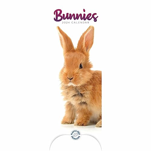 Bunnies Slim Calendar 2024