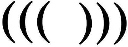 Mc Paul Barman - (((Echo Chamber))) [VINYL]