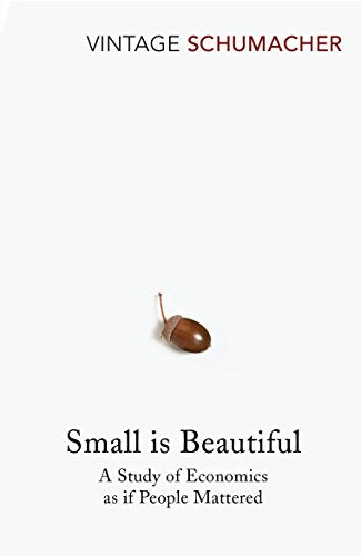 Book cover with acorn image, title "Small is Beautiful", and author "VINTAGE SCHUMACHER" on white background.