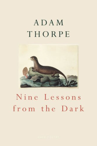 Nine Lessons From The Dark (Cape Poetry)