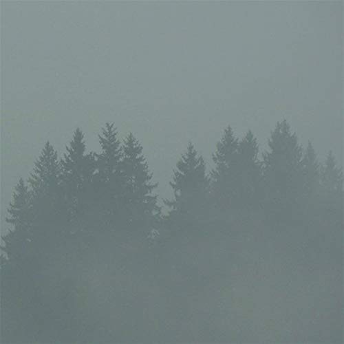 Max Loderbauer - Donnerwetter [VINYL]